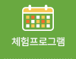 체험프로그램